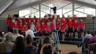 "FIREFLIES" Owl City (ft. Layla) Plato Academy Seminole Chorus