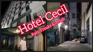 The Infamous Hotel Cecil in LA...As Disgusting As Ever