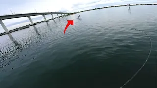 Hooked A Monster Fish - Indian River Fishing