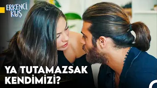 Sanem'in Aşkı Bulma Yolculuğu #101 - Erkenci Kuş