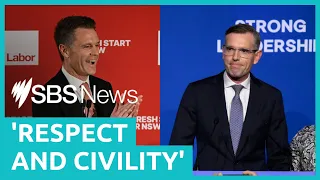 NSW election: Chris Minns and Dominic Perrottet praised for avoiding 'ugly' campaigns | SBS News