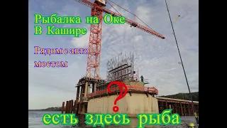 Рыбалка на Оке в Кашире под Авто Мостом ,есть здесь рыба ?