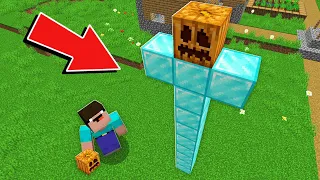 Minecraft NOOB vs PRO: WHY NOOB SPAWN THE TALLEST DIAMOND GOLEM IN THE VILLAGE ? 100% trolling