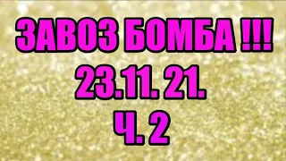 🌸Продажа орхидей. ( Завоз 23. 11. 21 г.) 2 ч. Отправка только по Украине. ЗАМЕЧТАТЕЛЬНЫЕ КРАСОТКИ👍