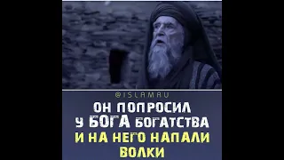 Он попросил у Бога богатства и на него напали волки