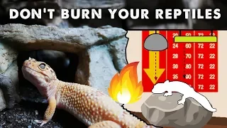 How To NOT Burn Your Reptiles | Installing Heaters & UV Correctly!