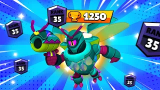 АПНУЛ 35 РАНГ НА РИКО В BRAWL STARS?!?! КАК ЛЕГКО АПНУТЬ 35 РАНГ?!?! 9 ИЗ 56 НА 35 РАНГЕ!!! RupLex