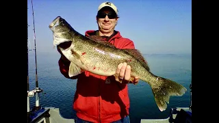 A Tale of Two Bites: Afternoon into Night Bite Lake Erie Walleye Trip @CastItForwardFishing