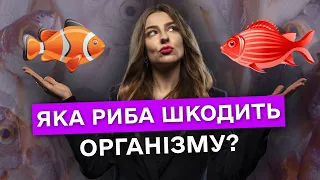 Яку РИБУ корисно ЇСТИ? – поради дієтолога