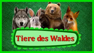 TIERE DES WALDES 🐰 Deutsch Doman Karten | Padagogische Karten Doman