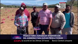 Productores de San Juan agradecen intervención Agricultura para elevar productividad de la cebolla