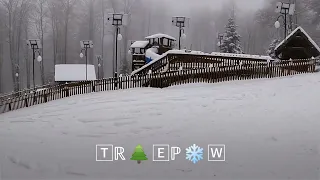 TreePow Freeride Forest Snowboard Magura Ski Park Powder