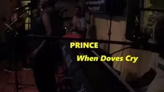 Flip Da Skrip Band Bunnys Prince Medley 07.16.16