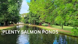 Spending the Day at Plenty Salmon Ponds