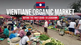 The Biggest Organic Market in Laos (You Shouldn't Miss!) | Morning Walk at Lao-ITECC