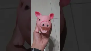 Noisy Pig Toy Sound Squeaky Pet Toys (Prank Your Dog) Sounds Dogs Hate