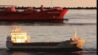 SHIPSPOTTING 2021// GIANT BULK CARRIER AND CRUDE OIL TANKERS AT PORT OF ROTTERDAM