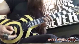 Zakk Wylde solo for "Road to Nowhere" NO MORE TEARS w/The GENESIS ODIN GRAIL BULLSEYE