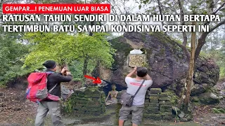 Gempar! Ratusan Tahun Bertapa Didalam Hutan Sendirian Dibawah Batu Raksasa