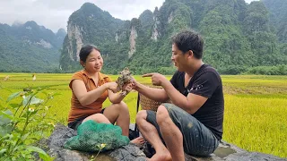 The girl went to the field to catch frogs and met the person she loved