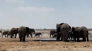 Okawao Waterhole in Etosha National Park (Namibia)