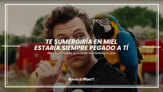 Daylight 2023 (Subtítulos en Español) Harry Styles