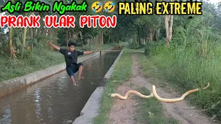 Prank Ular Piton Paling Extreme || Dijamin Bikin Ngakak 🤣🤣 || Funniest Snake Prank