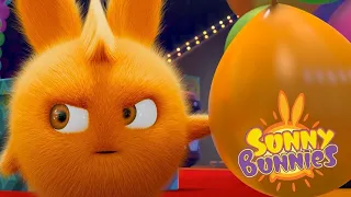 Sunny Bunnies | BUNNIES PLAY TAG | Compilation | Cartoons for Children | WildBrain Happy Kids