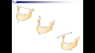 Lecture 7 : Mandibular Movements