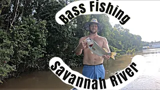 BASS fishing on the SAVANNAH River