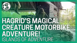 Hagrid’s Magical Creatures Motorbike Adventure POV - Islands of Adventure