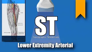 Lower Extremity Arterial Duplex Anatomy and Protocol