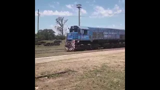 LLEGANDO A PASO de LOS LIBRES Ctes Urquiza Cargas Trenes Argentinos Cargas #shorts