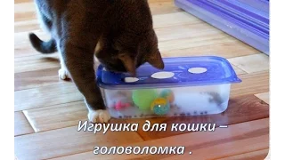 Игрушка для Кошек Своими Руками из ПИЩЕВОГО КОНТЕЙНЕРА / toy for cats with their own hands