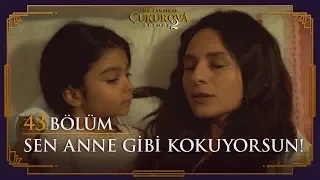 Sen anne gibi kokuyorsun! - Bir Zamanlar Çukurova 43. Bölüm