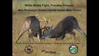 NDA Beer & Deer Webinar — Size Matters: The Role of Antlers in Deer Biology and Management