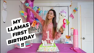 THROWING A SURPRISE PARTY FOR MY CRAZY LLAMA !! LLAMABEANS 1st BIRTHDAY !!