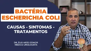Entenda sobre a Bactéria Escherichia Coli - Como é sua transmissão? Porque causa infecção urinária?