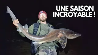 Gros poissons en Surfcasting : une saison INCROYABLE( Bars,dorade, requin, raies, maigre )