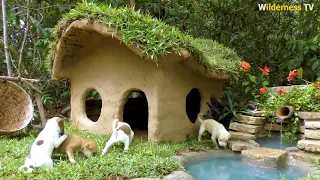 Primitive Dog-Rescue dog by Collect Abandoned Dog and Build Mud Dog House with Mini Water Fall