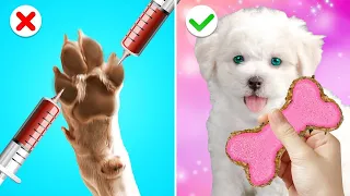 SALVAMOS UN PEQUEÑO CACHORRO - Gadgets & Trucos Geniales Para Dueños De Mascotas por Gotcha! Hacks