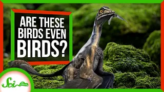 These Extinct Birds Really Stretch the Definition of “Bird”