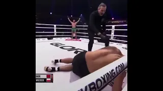 Badr Hari Goes KO!!!