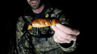 Big Bass Love. . . Beavers?! (Berkley Bucktooth Beaver)