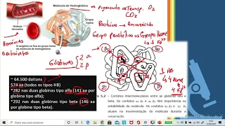 Bioquímica da Hemoglobina - Parte I