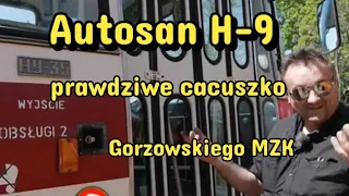 ,,Autosan H-9 sprawny zabytek z Gorzowa"  TAJEMNICE GORZOWA.