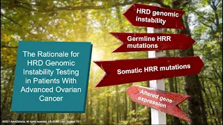 The Rationale for HRD Genomic Instability Testing in Patients with Advanced Ovarian Cancer