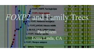 FOXP2 and Family Trees 5-23-2015 by Paul Giem