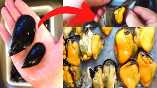 PERFECT Mussels. How to Clean and Cook Them!