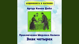 Глава VIII. Иррегулярная армия Бейкер-стрит